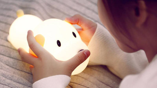 Dimmable Led Night Light Lamp, on Touch